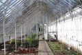 garden_glasshouse_interior_lge