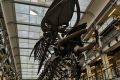 naturalhistorymuseum_interior4